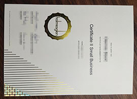 purchase realistic Holmesglen Institute certificate