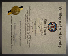 purchase realistic Maryland General Assembly Official Citation certificate