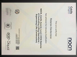 purchase realistic NOCN Cskills Awards NVQ Diploma
