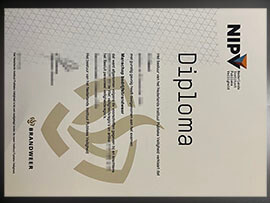 purchase realistic Nederlands Instituut Publieke Veiligheid diploma