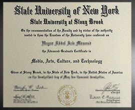 purchase realistic State University at Stony Brook degree