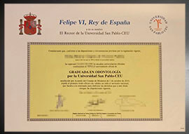 purchase realistic Universidad San Pablo CEU degree