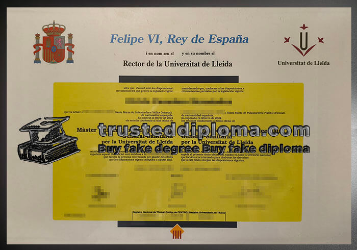 purchase realistic Universitat de Lleida diploma