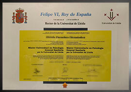 purchase realistic Universitat de Lleida degree