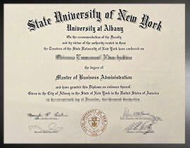 purchase realistic University at Albany degree