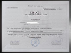 purchase realistic Absolventa Vyssi Odborne Skoly diploma