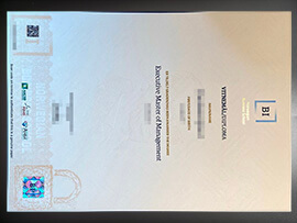 purchase realistic BI Norwegian Business School degree
