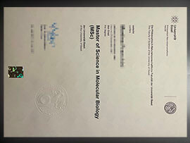 purchase realistic Universitat Bosel degree