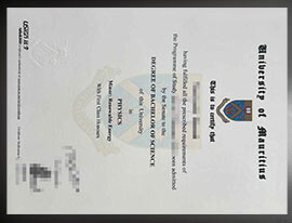 purchase realistic University of Mauritius degree