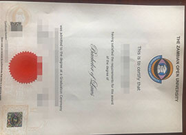 purchase realistic Zambian Open University degree